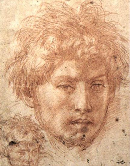 Andrea del Sarto Head of a Young Man China oil painting art